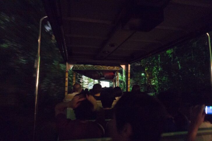 夜の森を走るトラム