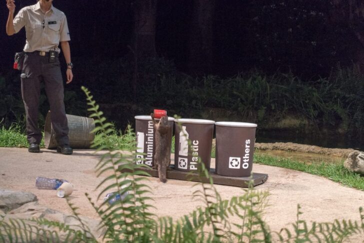 ゴミを分別するかわいいビーバー