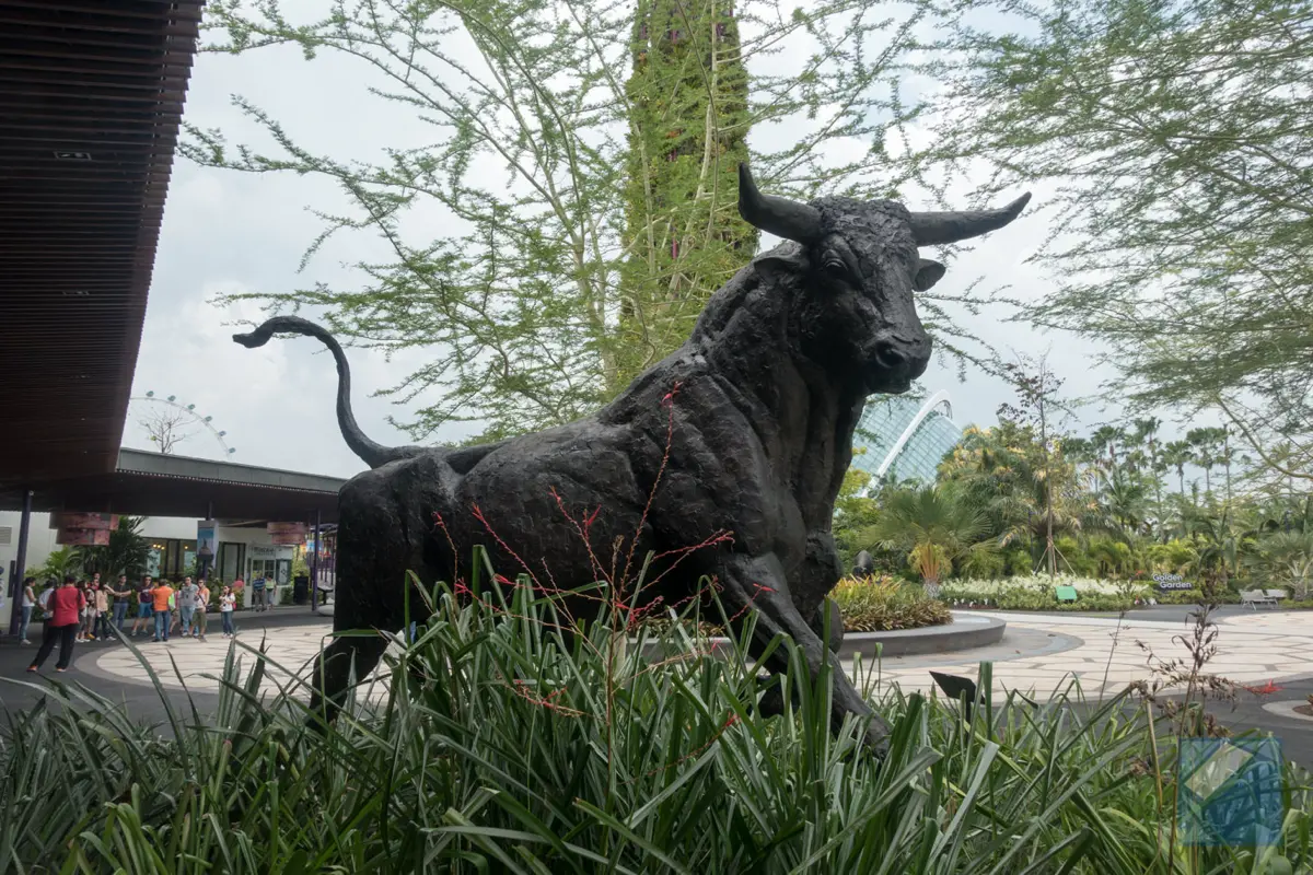 Gardens by the bay 1
