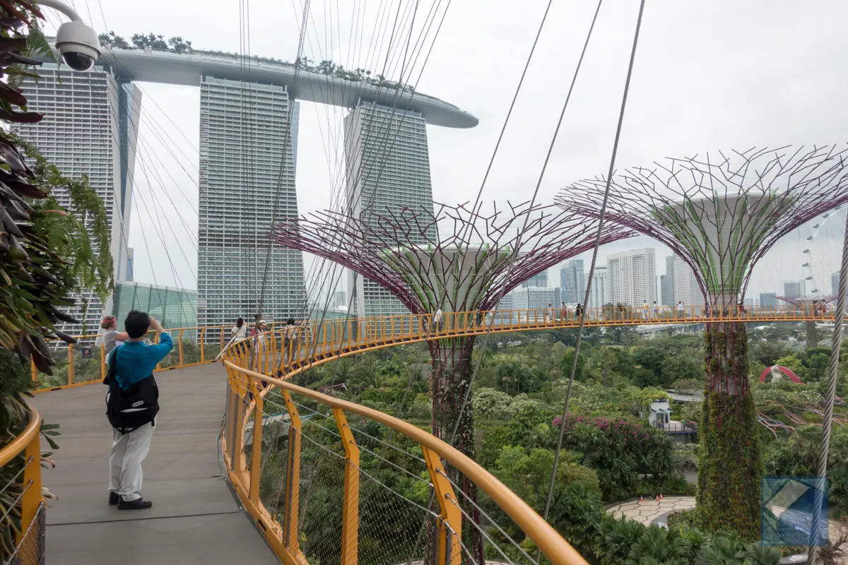 Gardens by the bay 10
