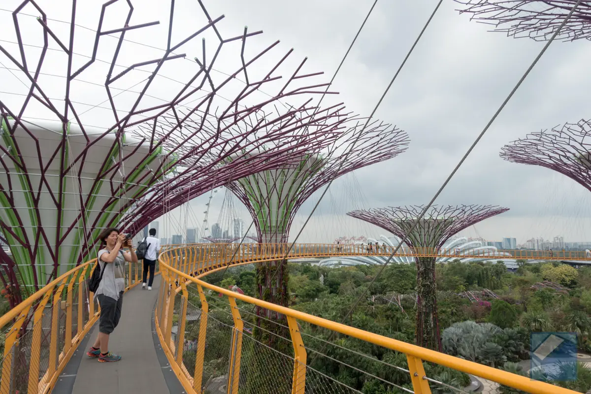 Gardens by the bay 12