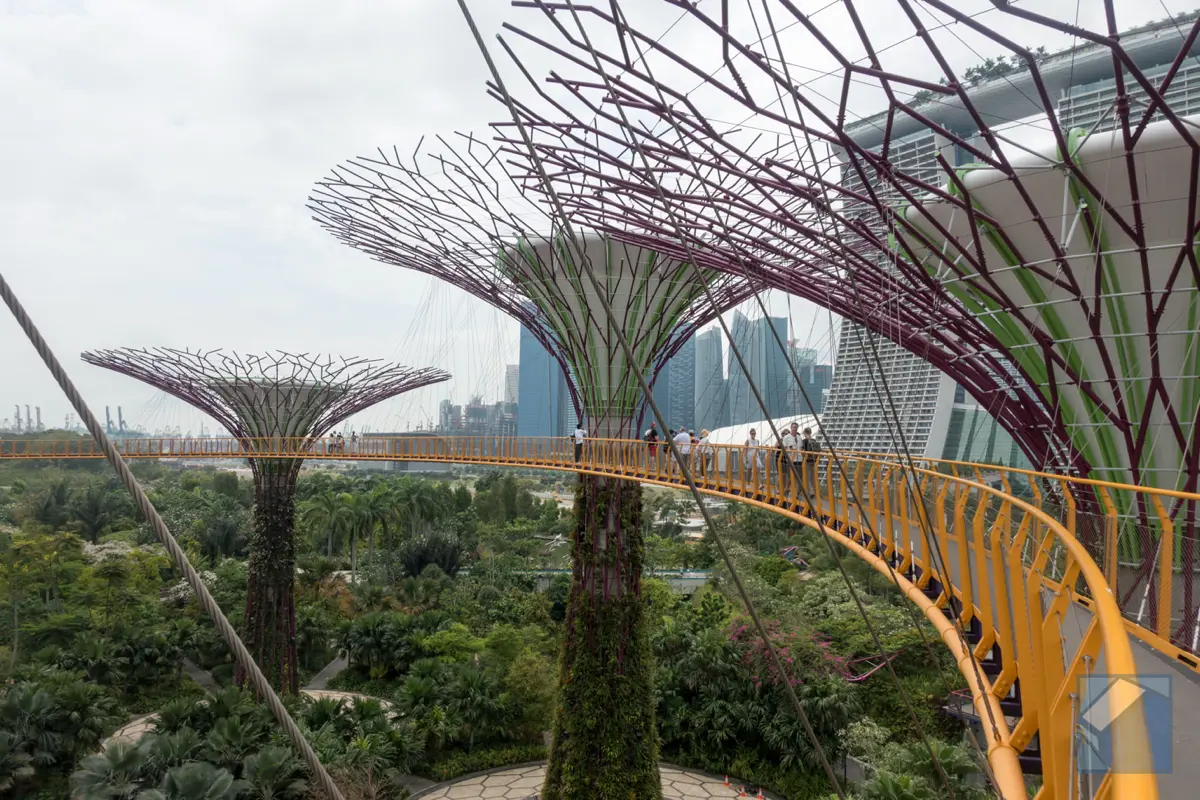 Gardens by the bay 13
