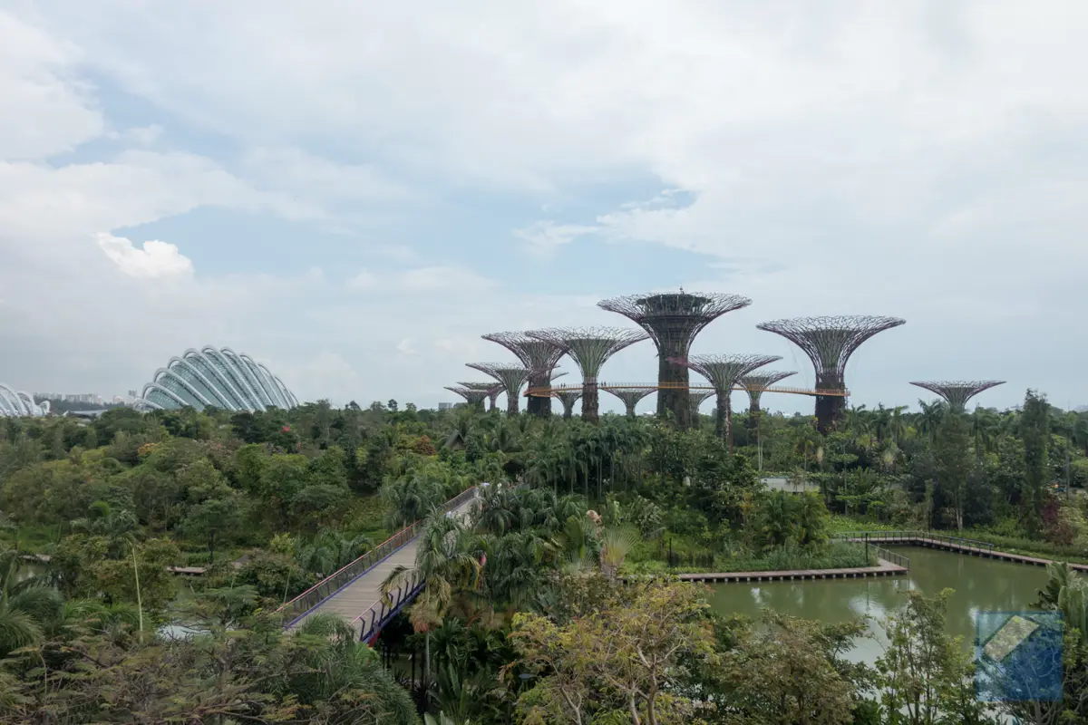 Gardens by the bay 19