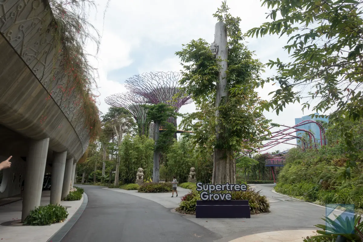 Gardens by the bay 3