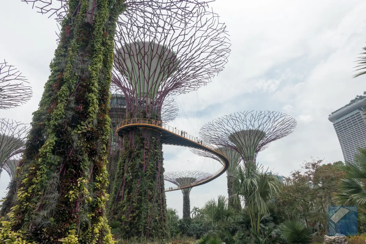 Gardens by the bay 4