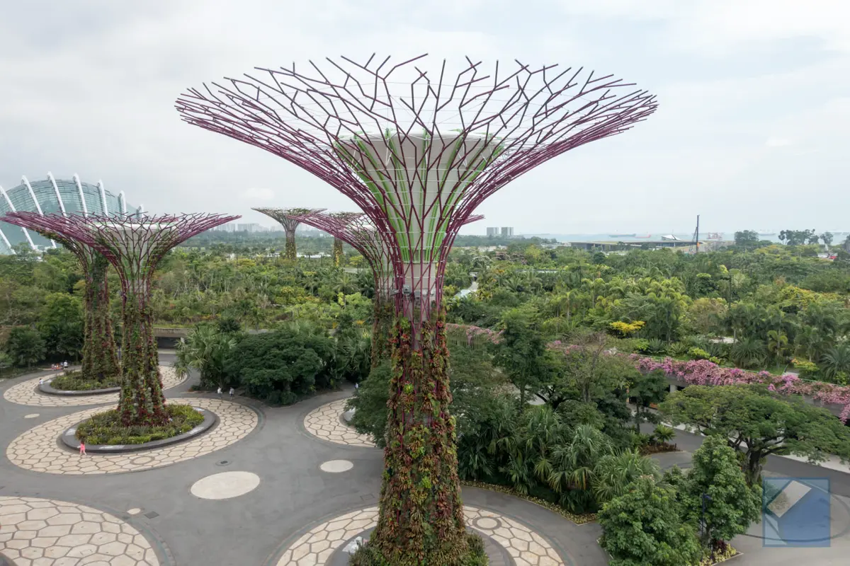 Gardens by the bay 9