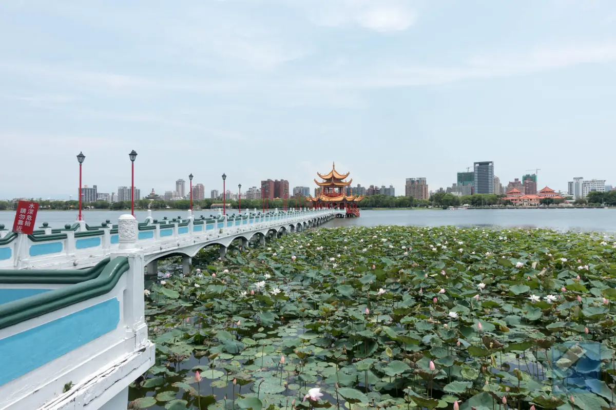 Lotus lake dragon and tiger pagodas 41