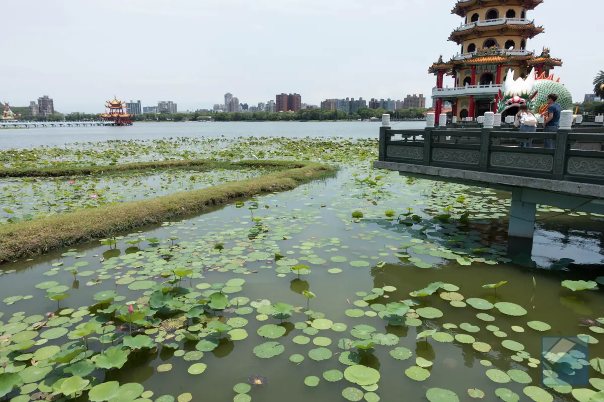 Lotus lake dragon and tiger pagodas 8