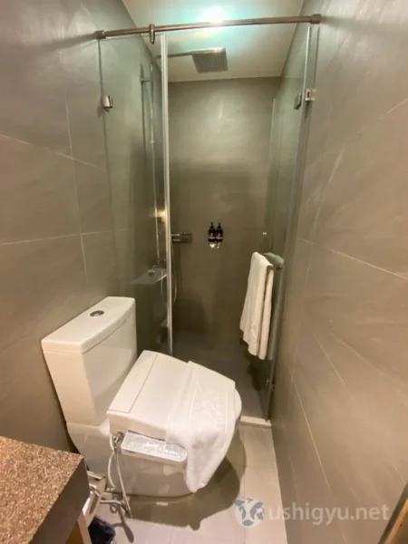 バスルーム兼トイレもやたら細長い