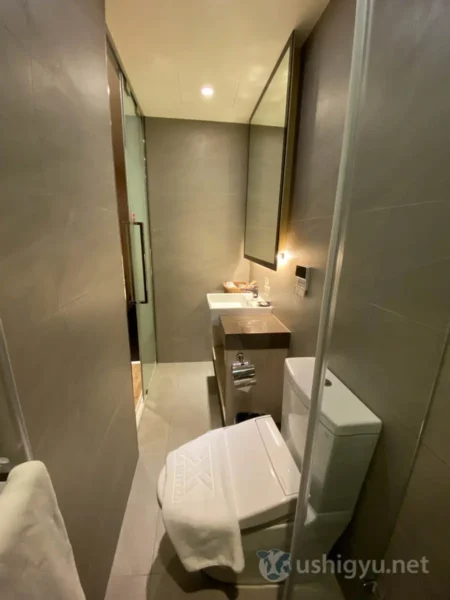 なんと言っても特筆すべきはウォシュレットが装備されていること